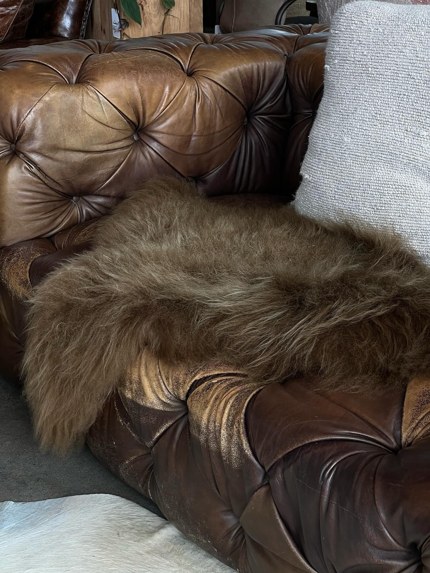 Plush Norwegian long hair sheepskin